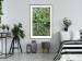 Poster Path through the forest - green landscape of forest trees from a bird's eye view 116425 additionalThumb 13