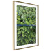 Poster Path through the forest - green landscape of forest trees from a bird's eye view 116425 additionalThumb 6