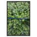 Poster Path through the forest - green landscape of forest trees from a bird's eye view 116425 additionalThumb 24