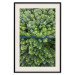 Poster Path through the forest - green landscape of forest trees from a bird's eye view 116425 additionalThumb 18