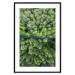 Poster Path through the forest - green landscape of forest trees from a bird's eye view 116425 additionalThumb 15