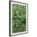 Poster Path through the forest - green landscape of forest trees from a bird's eye view 116425 additionalThumb 3
