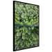 Wall gallery set Soothing nature 129680 additionalThumb 8