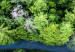 Poster Path through the forest - green landscape of forest trees from a bird's eye view 116425 additionalThumb 11