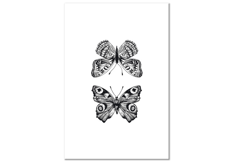 Canvas Print Butterflies in love - two black and white butterflies in line art 116925