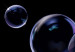 Wall Poster Lightness of Being - soap bubbles on a black background in an abstract motif 122625 additionalThumb 8