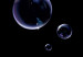 Wall Poster Lightness of Being - soap bubbles on a black background in an abstract motif 122625 additionalThumb 9