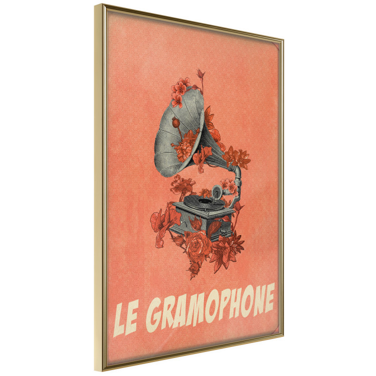 Poster Phonograph - French captions and flower-covered music player 123625 additionalImage 14