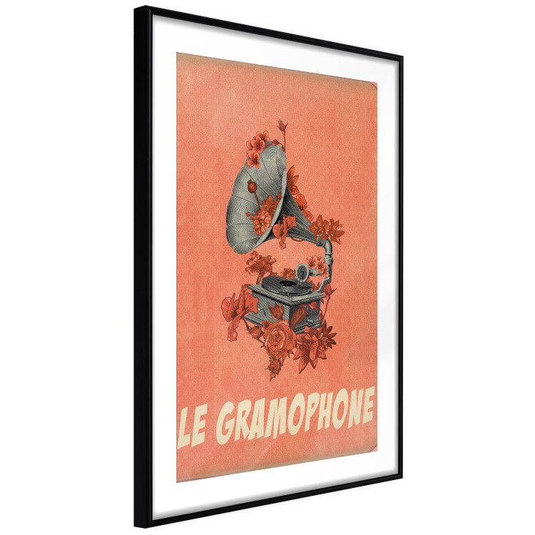 Poster Phonograph - French captions and flower-covered music player 123625 additionalImage 13