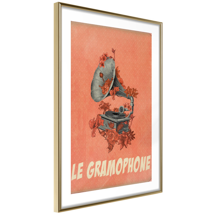 Poster Phonograph - French captions and flower-covered music player 123625 additionalImage 6