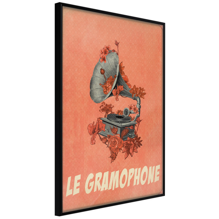 Poster Phonograph - French captions and flower-covered music player 123625 additionalImage 12