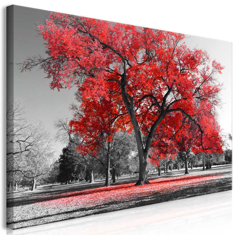 Large canvas print Autumn in the Park (Red) II [Large Format] 125625 additionalImage 3
