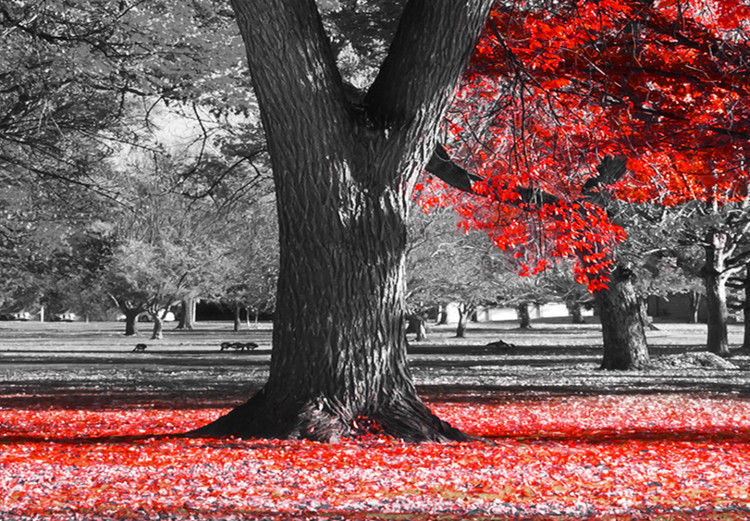 Large canvas print Autumn in the Park (Red) II [Large Format] 125625 additionalImage 4