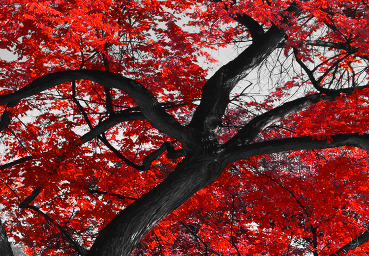 Large canvas print Autumn in the Park (Red) II [Large Format] 125625 additionalImage 5