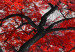 Large canvas print Autumn in the Park (Red) II [Large Format] 125625 additionalThumb 5