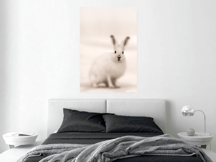 Wall Poster Bunny - blurred composition with a fluffy animal on a white background 126225 additionalImage 17