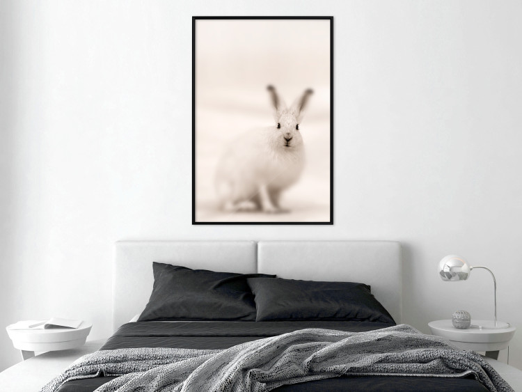 Wall Poster Bunny - blurred composition with a fluffy animal on a white background 126225 additionalImage 3