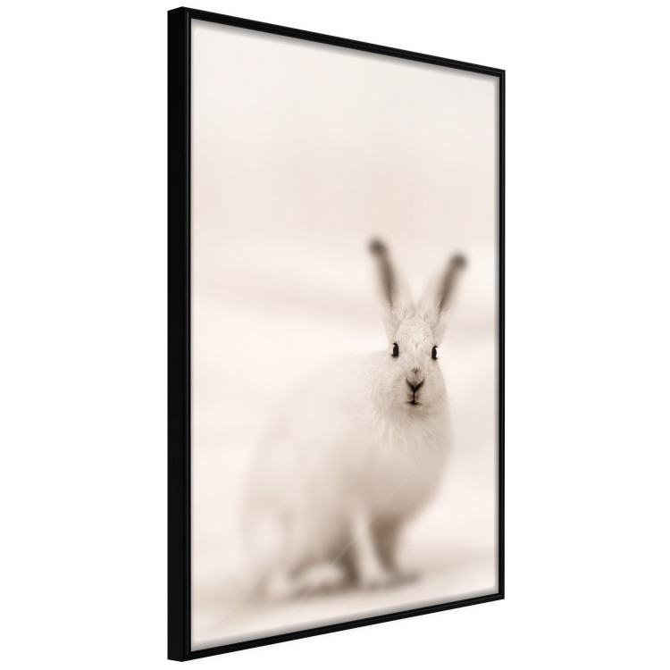 Wall Poster Bunny - blurred composition with a fluffy animal on a white background 126225 additionalImage 10