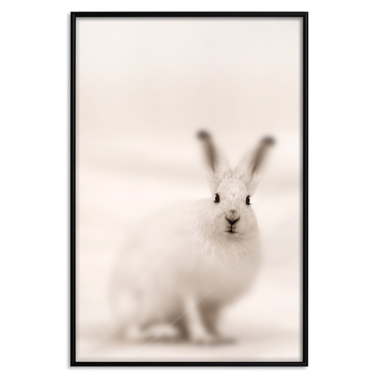 Wall Poster Bunny - blurred composition with a fluffy animal on a white background 126225 additionalImage 18