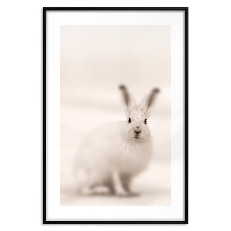 Wall Poster Bunny - blurred composition with a fluffy animal on a white background 126225 additionalImage 15