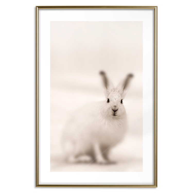 Wall Poster Bunny - blurred composition with a fluffy animal on a white background 126225 additionalImage 14