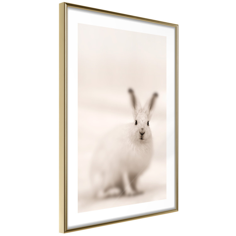 Wall Poster Bunny - blurred composition with a fluffy animal on a white background 126225 additionalImage 6