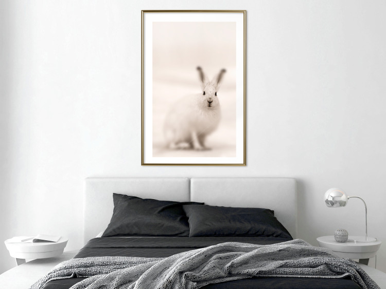 Wall Poster Bunny - blurred composition with a fluffy animal on a white background 126225 additionalImage 13