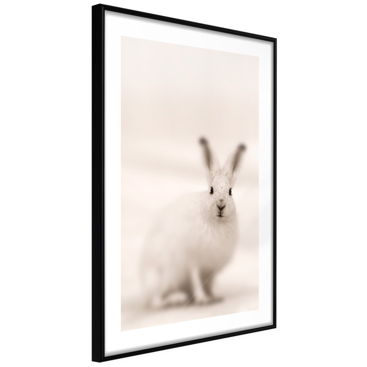 Wall Poster Bunny - blurred composition with a fluffy animal on a white background 126225 additionalImage 11