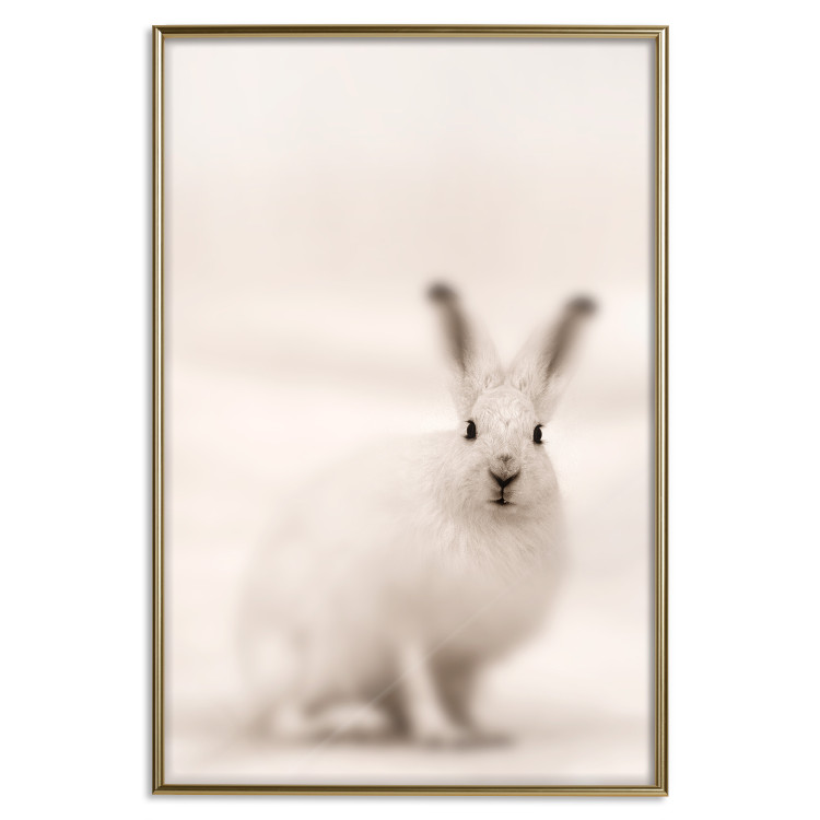 Wall Poster Bunny - blurred composition with a fluffy animal on a white background 126225 additionalImage 16