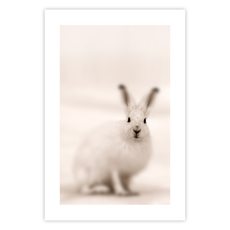 Wall Poster Bunny - blurred composition with a fluffy animal on a white background 126225 additionalImage 19