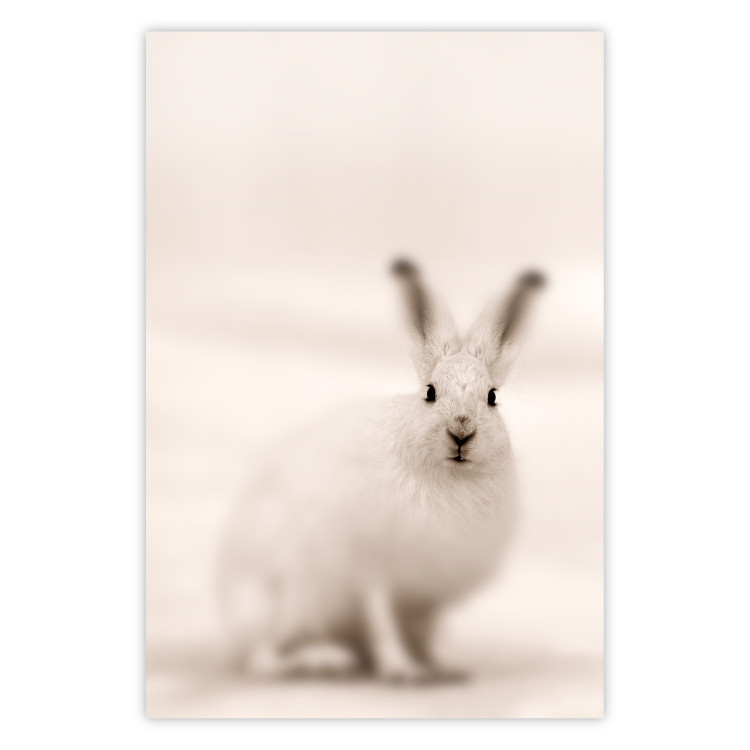 Wall Poster Bunny - blurred composition with a fluffy animal on a white background 126225