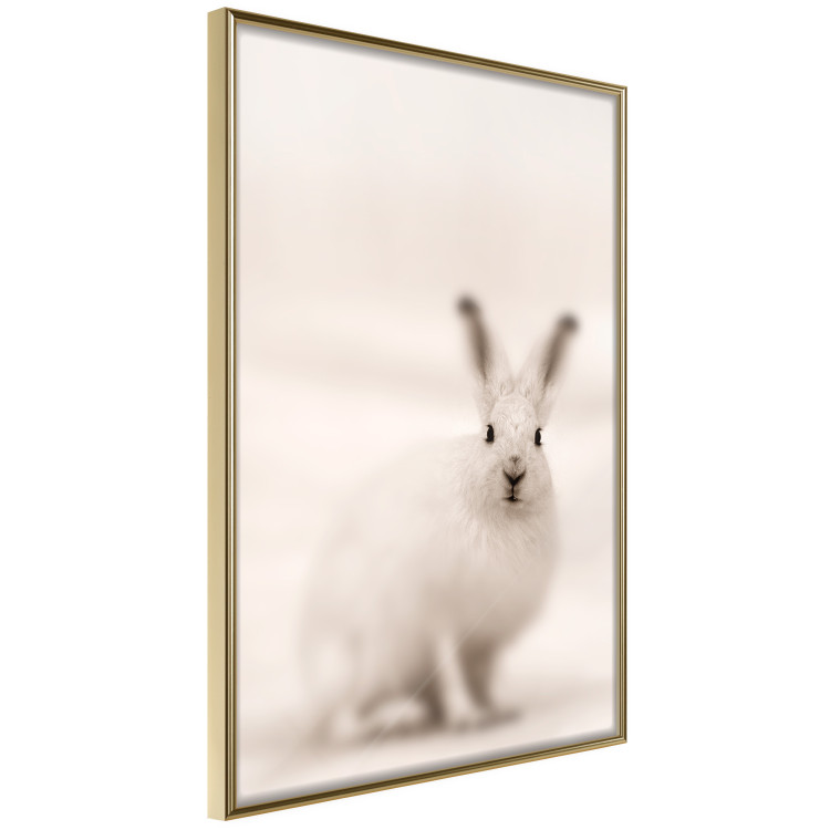 Wall Poster Bunny - blurred composition with a fluffy animal on a white background 126225 additionalImage 12