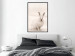 Wall Poster Bunny - blurred composition with a fluffy animal on a white background 126225 additionalThumb 3