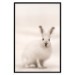 Wall Poster Bunny - blurred composition with a fluffy animal on a white background 126225 additionalThumb 18