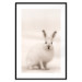Wall Poster Bunny - blurred composition with a fluffy animal on a white background 126225 additionalThumb 15