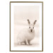 Wall Poster Bunny - blurred composition with a fluffy animal on a white background 126225 additionalThumb 14