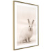 Wall Poster Bunny - blurred composition with a fluffy animal on a white background 126225 additionalThumb 6
