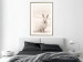 Wall Poster Bunny - blurred composition with a fluffy animal on a white background 126225 additionalThumb 13