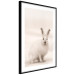 Wall Poster Bunny - blurred composition with a fluffy animal on a white background 126225 additionalThumb 11