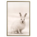 Wall Poster Bunny - blurred composition with a fluffy animal on a white background 126225 additionalThumb 16
