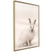 Wall Poster Bunny - blurred composition with a fluffy animal on a white background 126225 additionalThumb 12