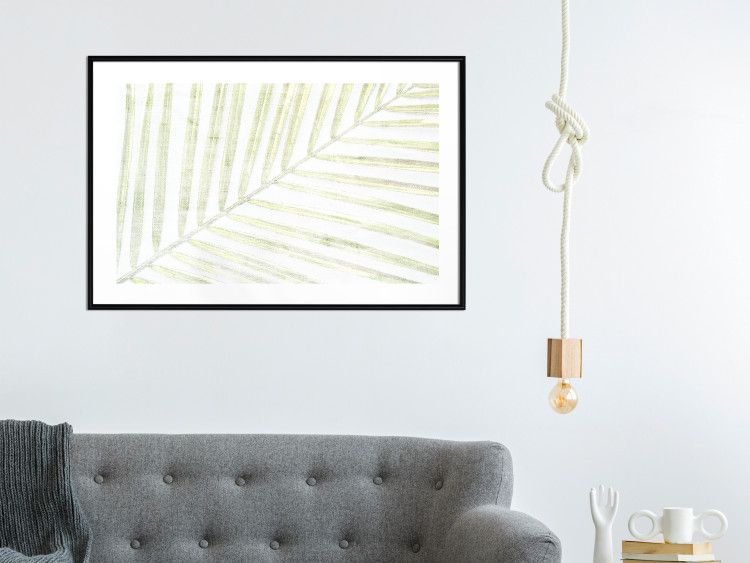 Poster Palm Leaf - light green leafy composition of a tropical plant 126825 additionalImage 23