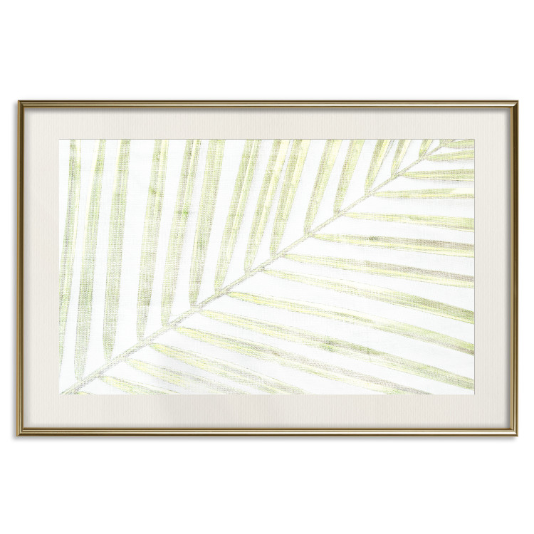Poster Palm Leaf - light green leafy composition of a tropical plant 126825 additionalImage 20