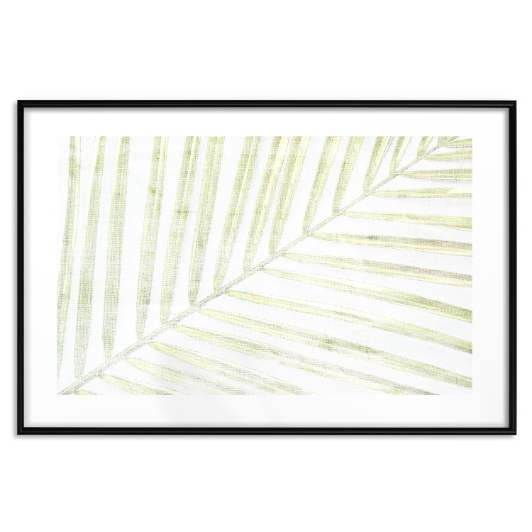 Poster Palm Leaf - light green leafy composition of a tropical plant 126825 additionalImage 15