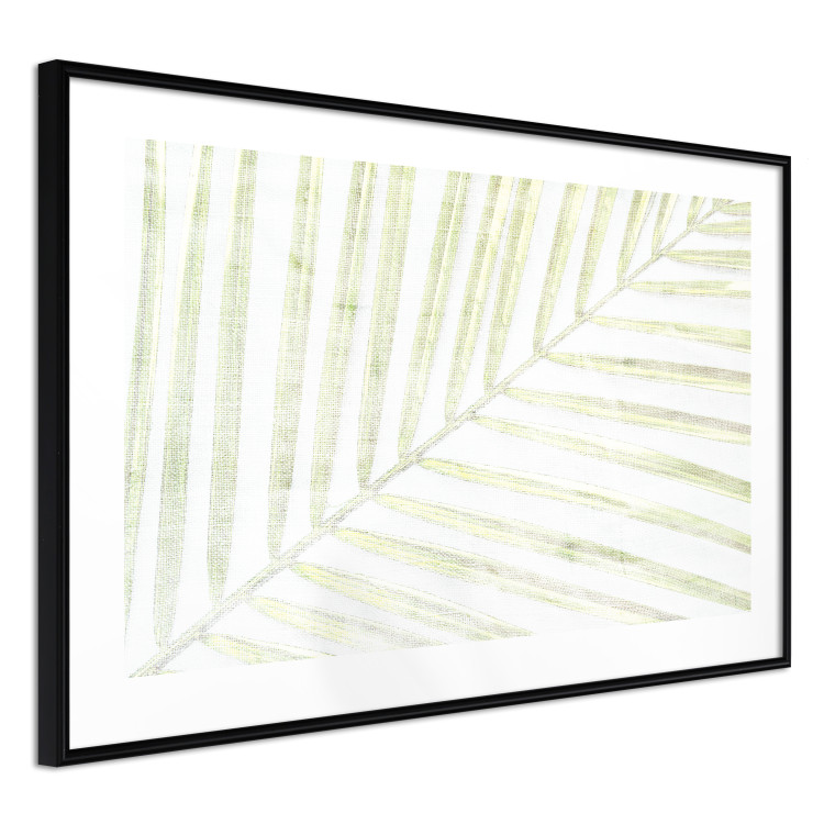 Poster Palm Leaf - light green leafy composition of a tropical plant 126825 additionalImage 6