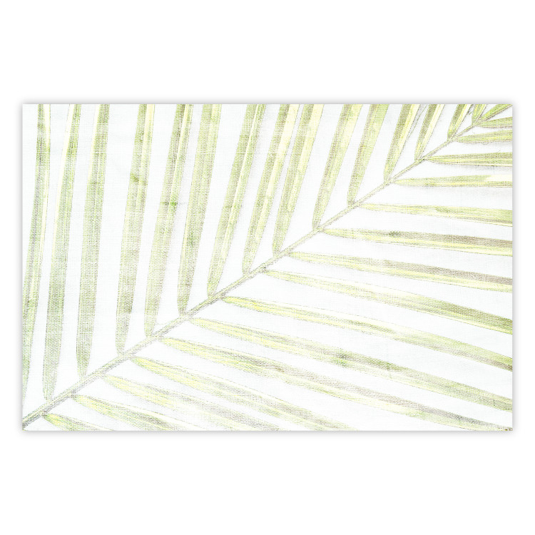 Poster Palm Leaf - light green leafy composition of a tropical plant 126825
