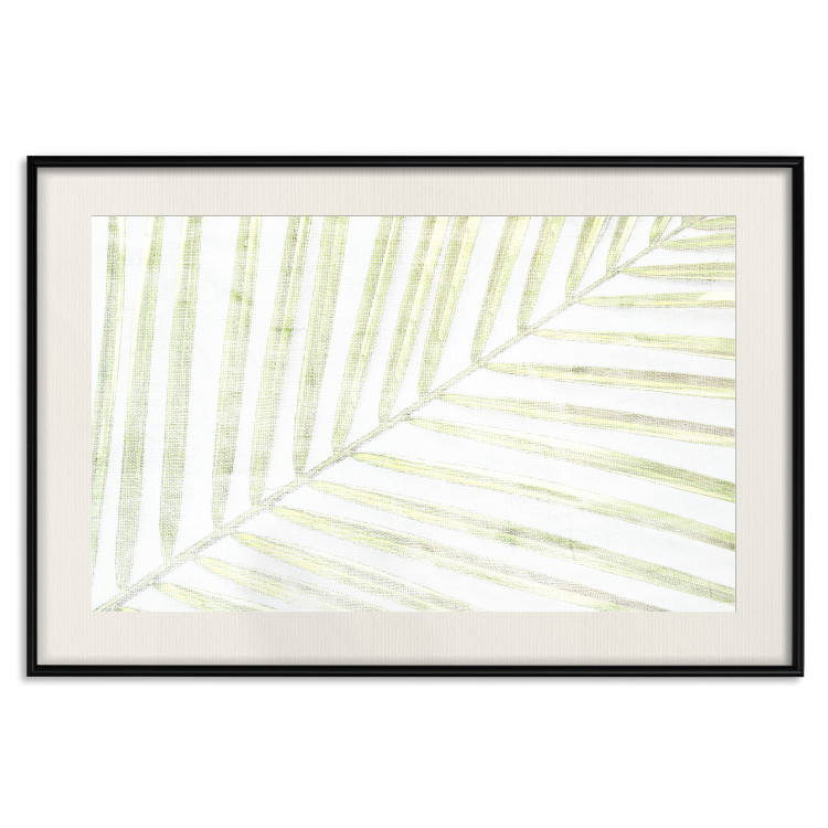 Poster Palm Leaf - light green leafy composition of a tropical plant 126825 additionalImage 19