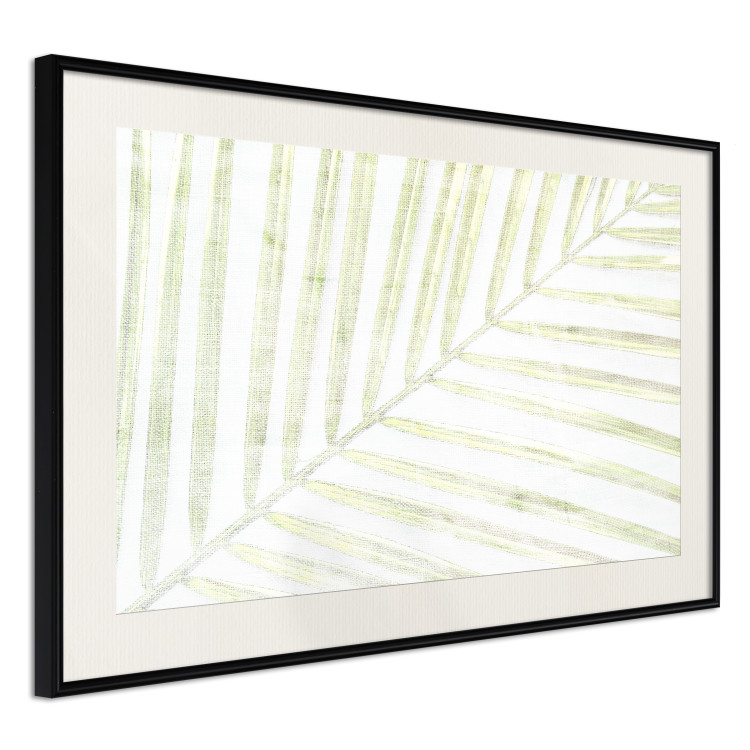 Poster Palm Leaf - light green leafy composition of a tropical plant 126825 additionalImage 2