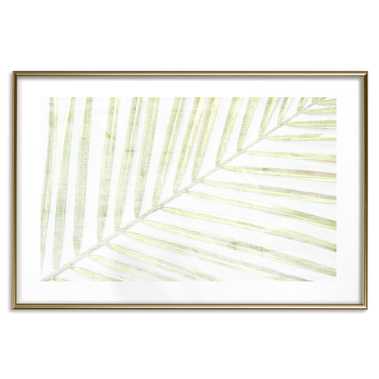 Poster Palm Leaf - light green leafy composition of a tropical plant 126825 additionalImage 14