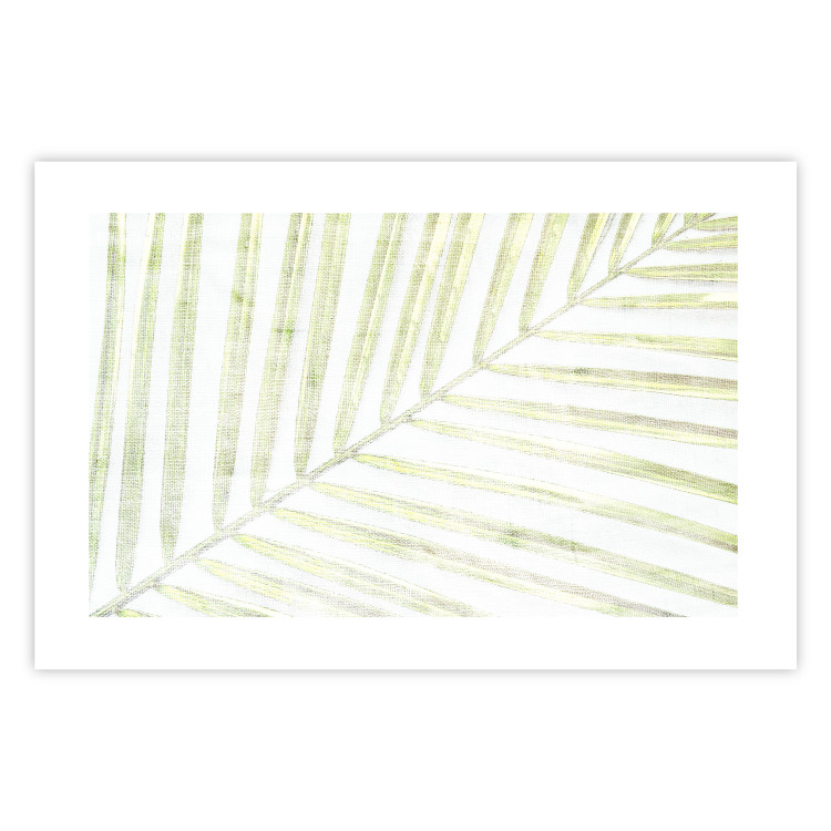 Poster Palm Leaf - light green leafy composition of a tropical plant 126825 additionalImage 25